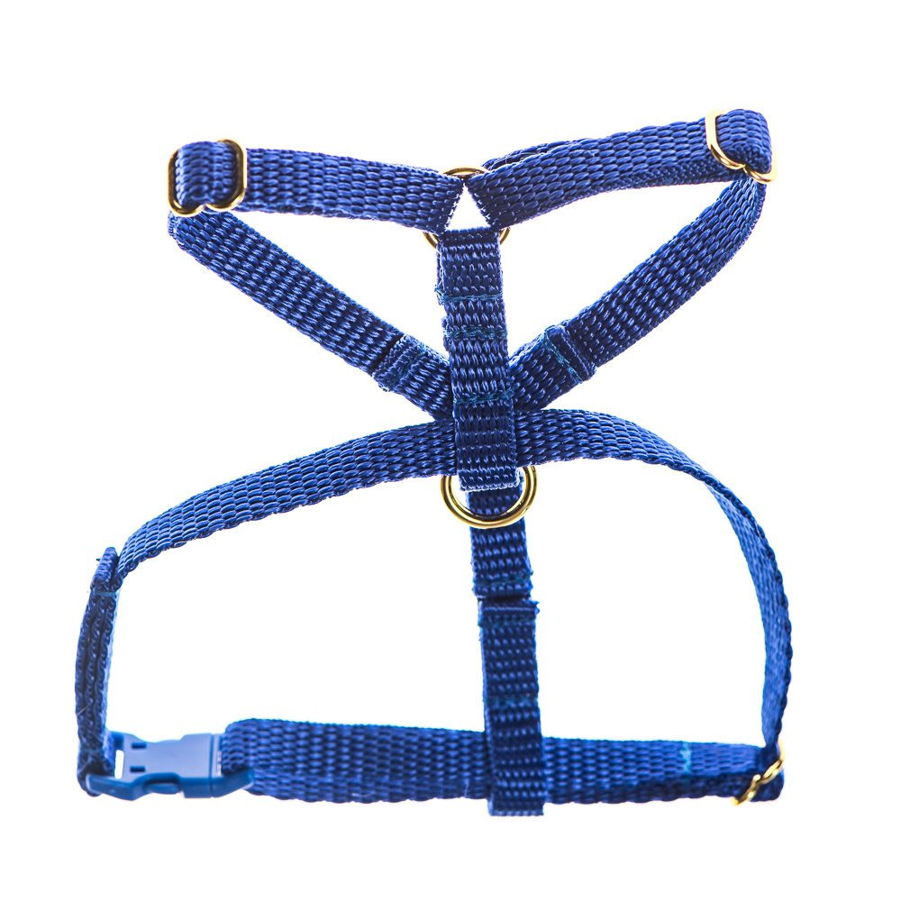 teeny single webbing dog harness