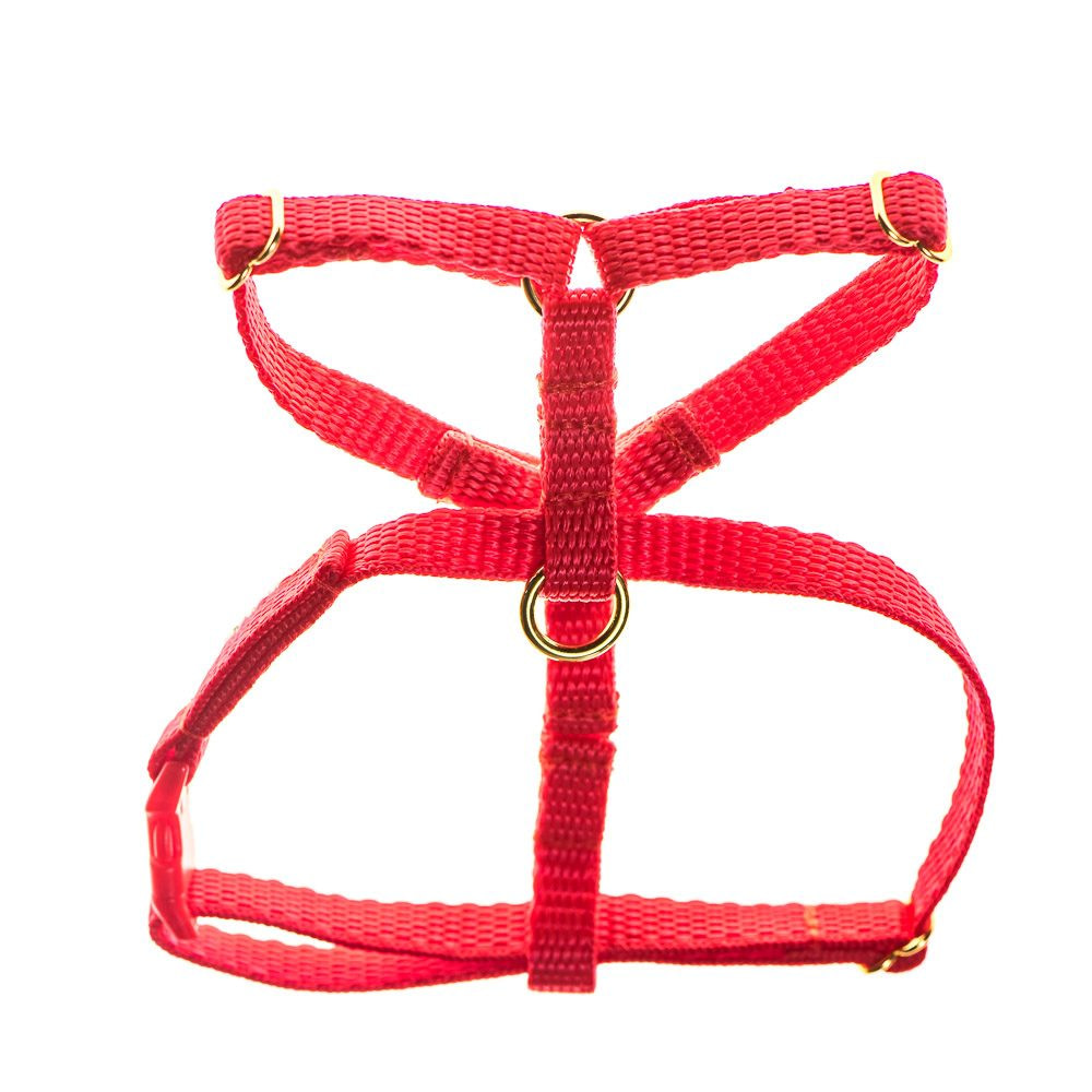 teeny single webbing dog harness
