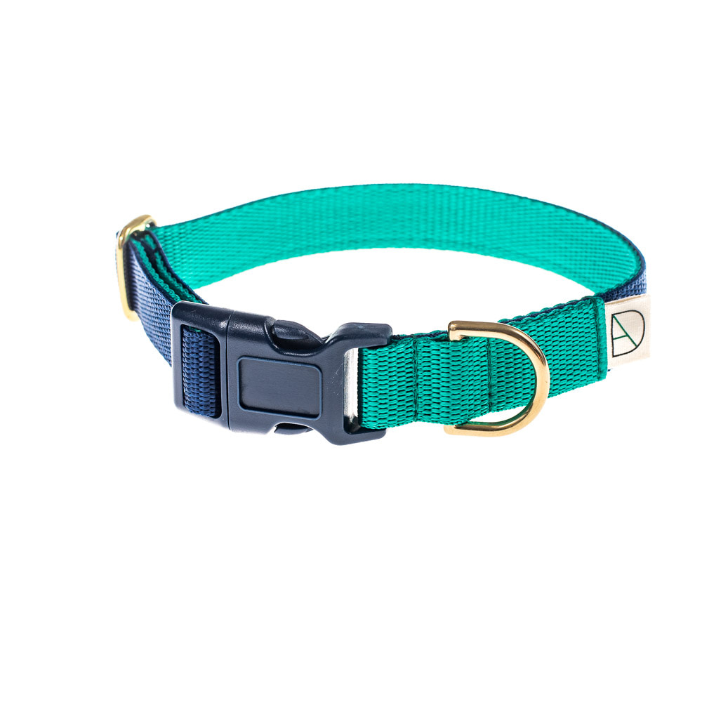 doggie apparel navy & emerald dog collar