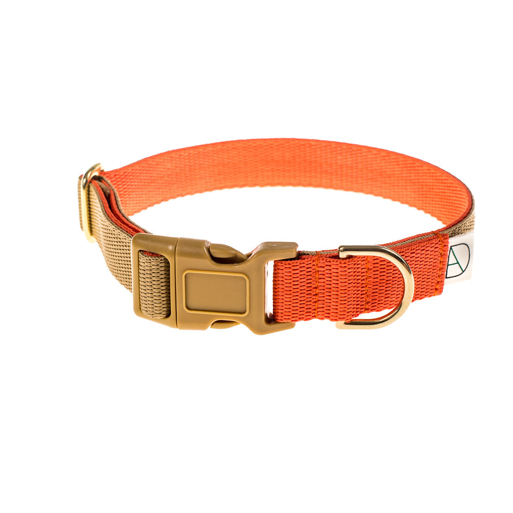 doggie apparel beige & orange dog collar