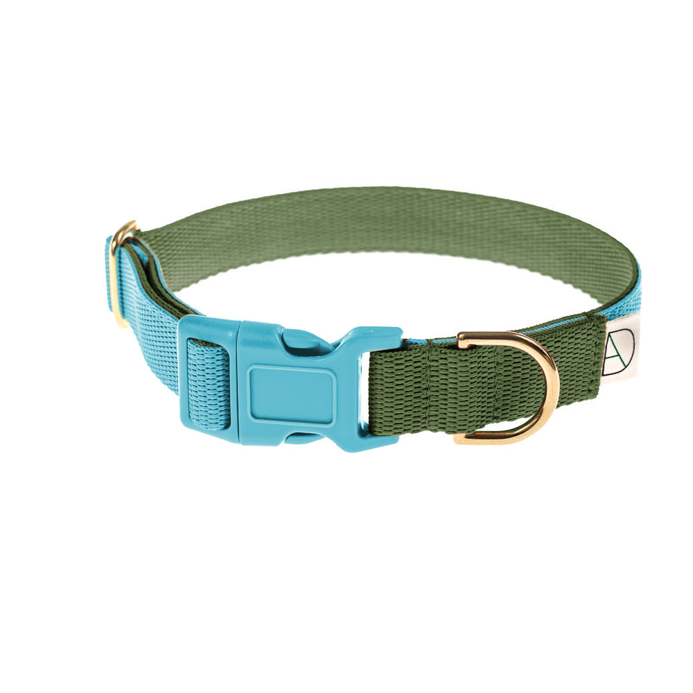 green dog collar / blue dog collar