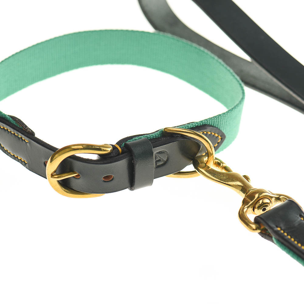 Luxury Leather Dog Collar 'Lido' | Doggie Apparel Luxury Dog Accessories