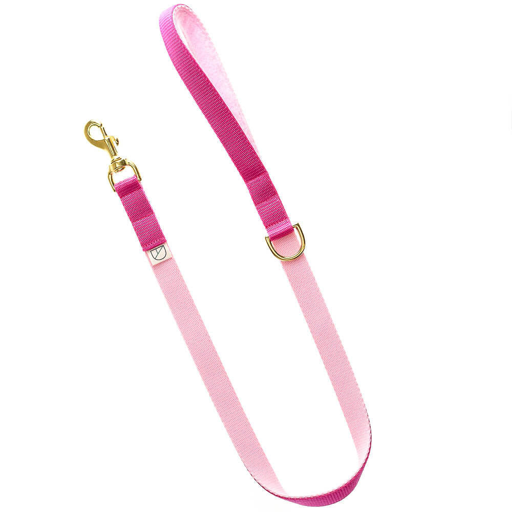 luxury pink dog lead and collar doggie apparel