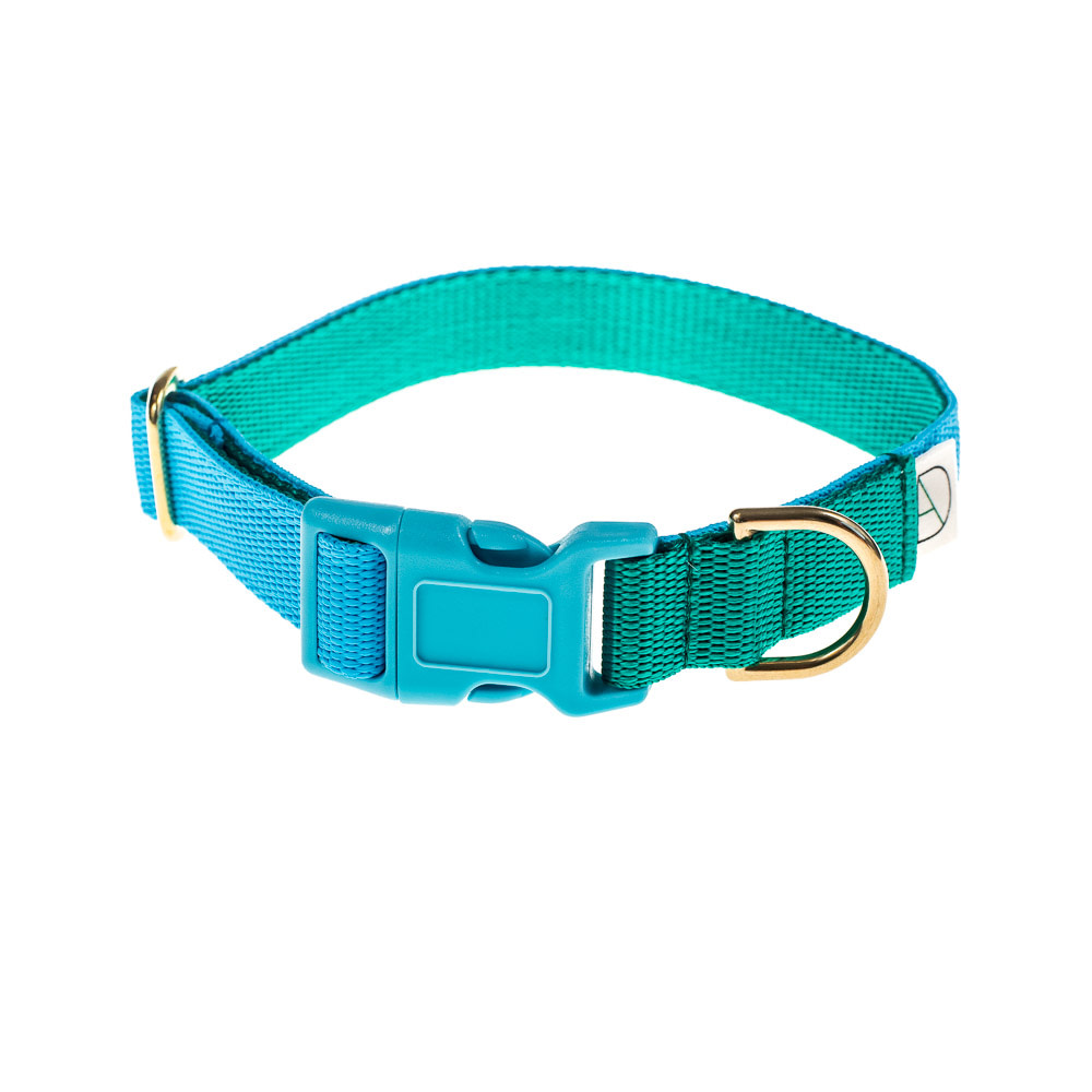 doggie apparel sky & emerald dog collar