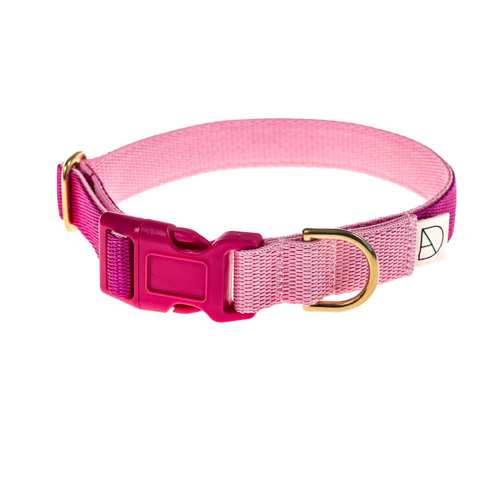doggie apparel cerise & baby pink dog collar