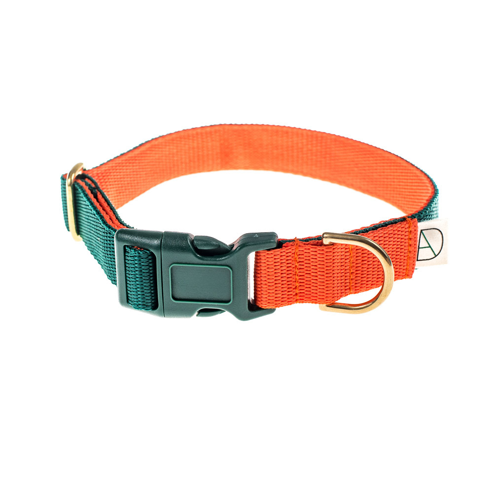 doggie apparel forest & orange dog collar