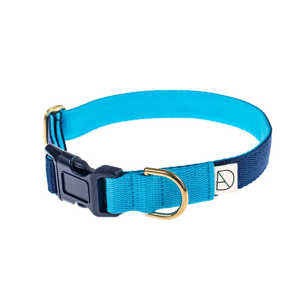 'trinity' dog collar