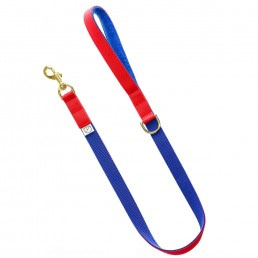 luxury red dog lead and collar doggie apparel
