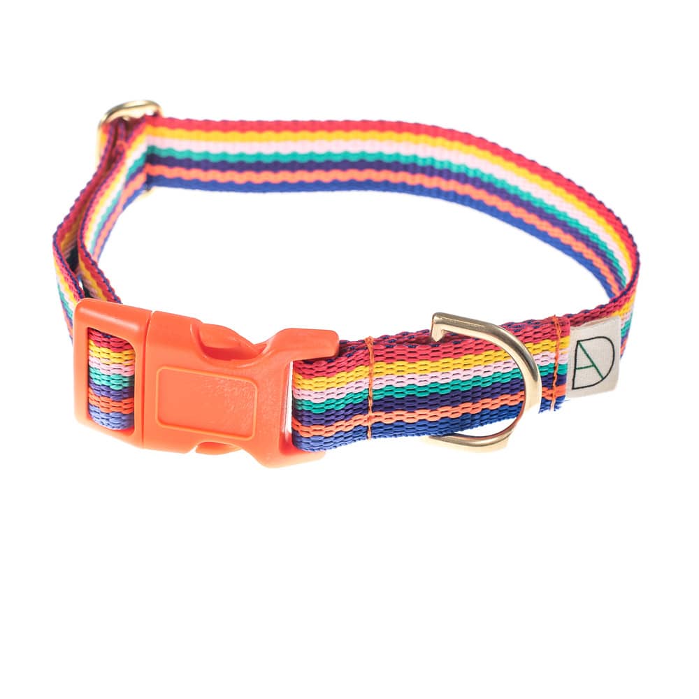 doggie apparel rainbow dog collar