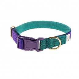 doggie apparel purple & forest dog collar