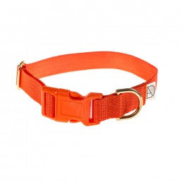 doggie apparel orange dog collar