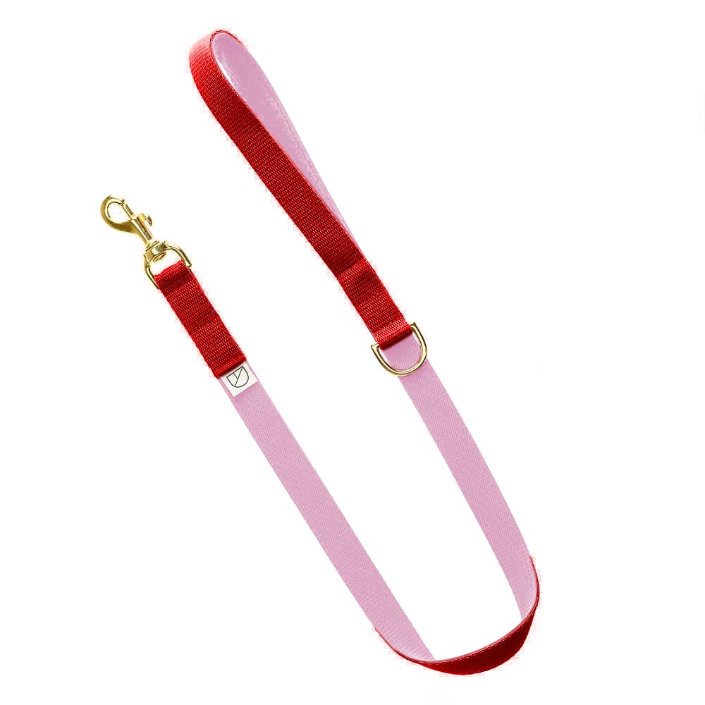 red dog lead / pink dog lead