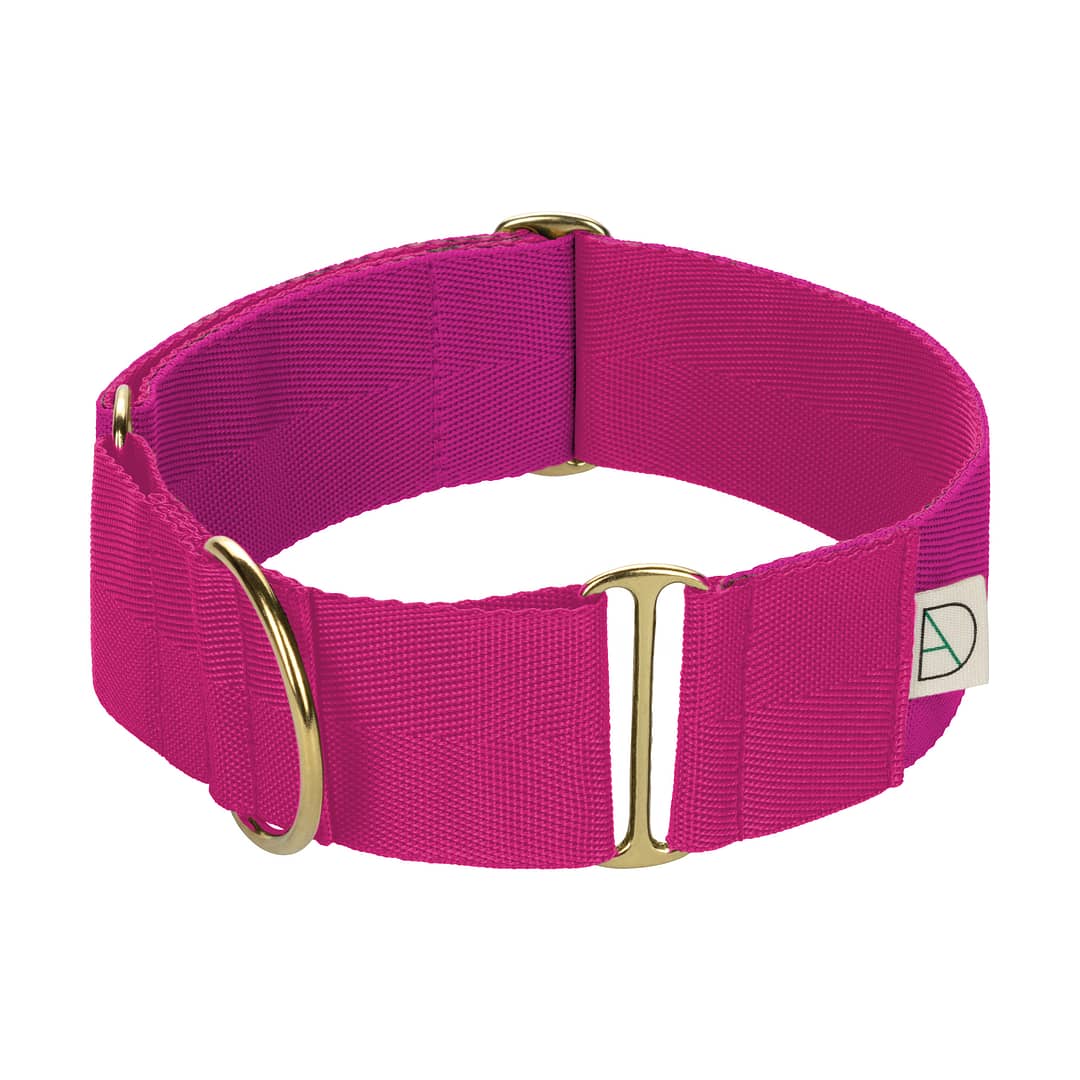 pink martingale dog collar