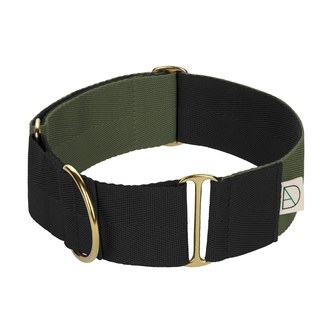 black dog collar / green dog collar