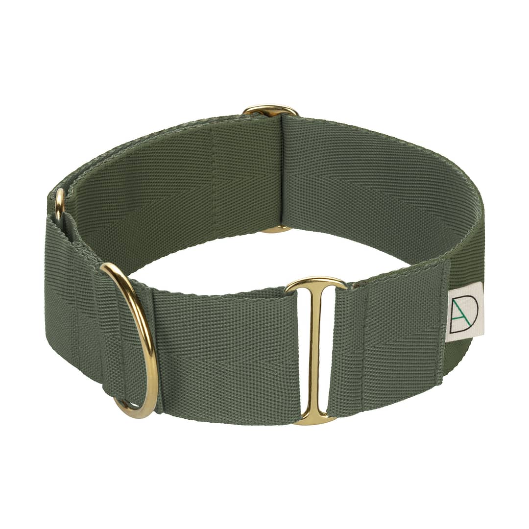 olive green martingale collar