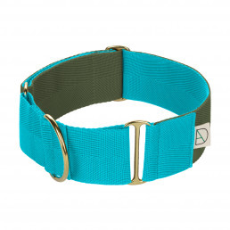 green dog collar / blue dog collar