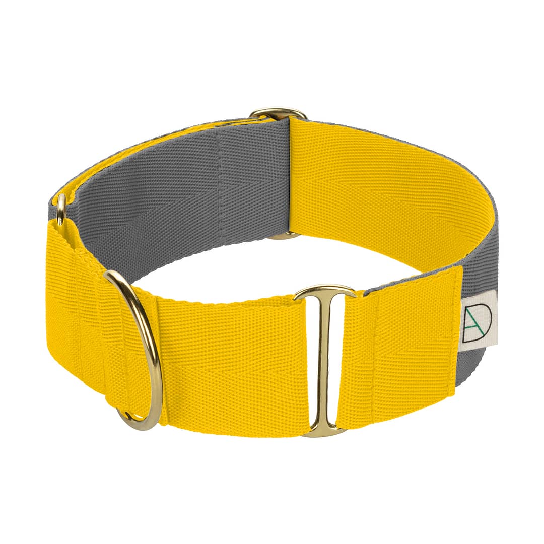 yellow dog collar / grey dog collar