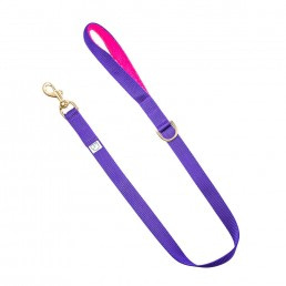 purple webbing dog lead doggie apparel