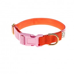 doggie apparel baby pink & orange dog collar