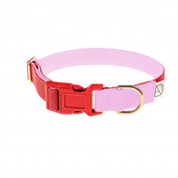 red dog collar / pink dog collar
