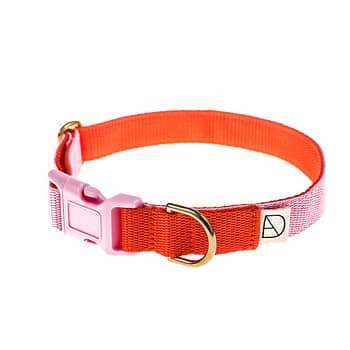 'parade' dog collar