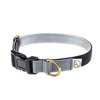'zion' dog collar