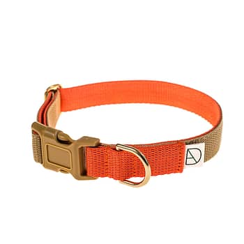'lombard' dog collar