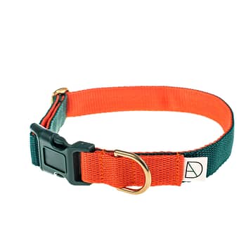 'fort' dog collar