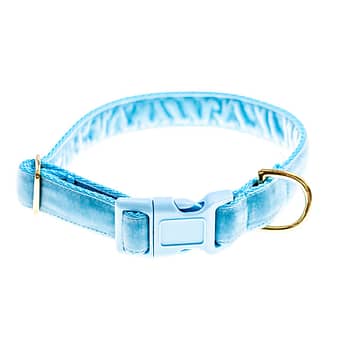 doggie apparel sky blue velvet dog collar