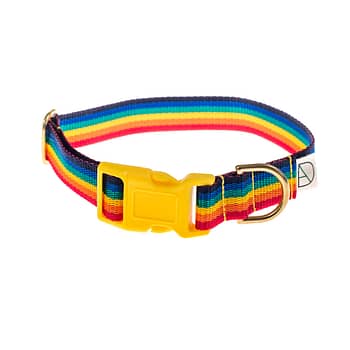 doggie apparel rainbow dog collar