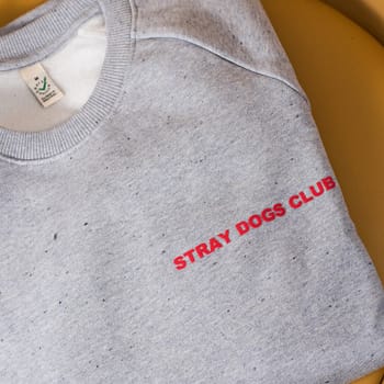 unisex grey stray dogs club jumper